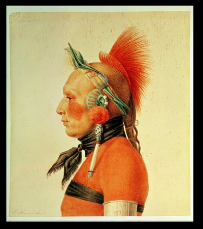An Osage Warrior by Charles Balthazar Julien Févret de Saint Mémin